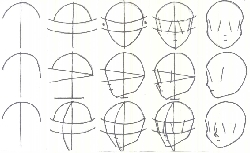 Head basic construction